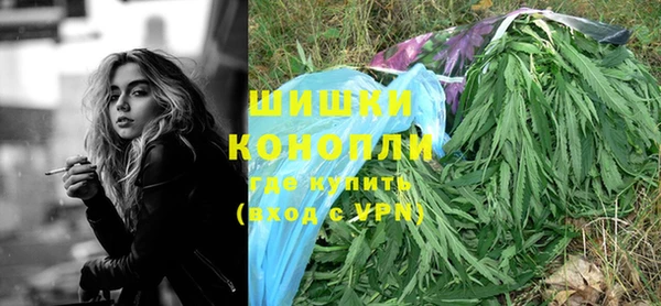 тгк Богданович