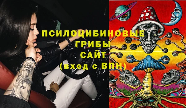 тгк Богданович