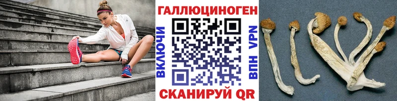 Галлюциногенные грибы GOLDEN TEACHER  ссылка на мегу вход  Тихвин 